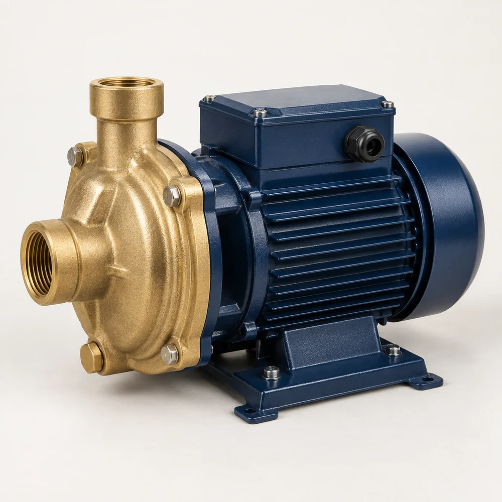 Domestic water pump